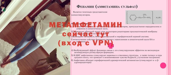 индика Сатка