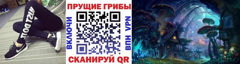 Галлюциногенные грибы Psilocybe сайты даркнета телеграм Туапсе закладки MEGA сайт